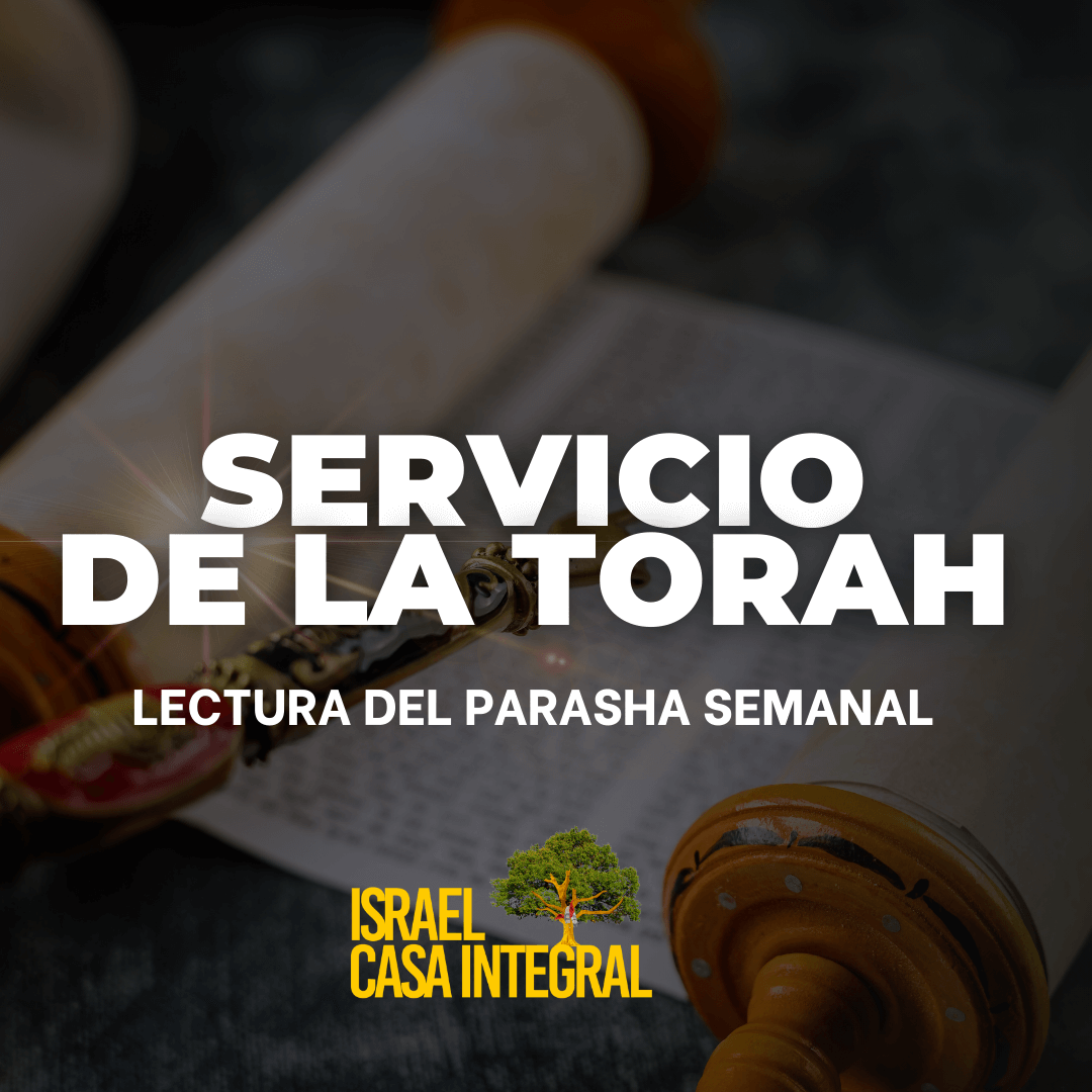 Lectora de la porcion semana de la escritura (parashat semanal)